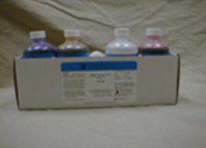 Picture of Gram Stain Set 4 X 125 mLVGK200