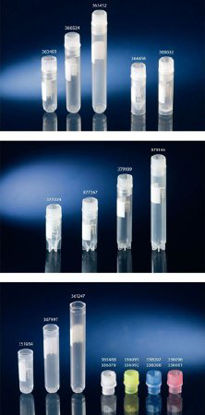 Picture of Nunc™ Cryogenic Tube Round Bottom, Star Foot Style Plain 12.5 X 49 mm 1.8 mL Without Color Coding Screw Cap Polypropylene Tube12565171N