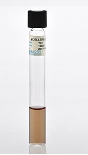 Picture of Prepared Media Moellers Lysine Decarboxylase Tube FormatY43