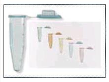 Picture of Fisherbrand™ Microcentrifuge Tube Conical Bottom Plain 11 X 40.6 mm 2 mL Without Color Coding Snap Cap Polypropylene Tube05408146
