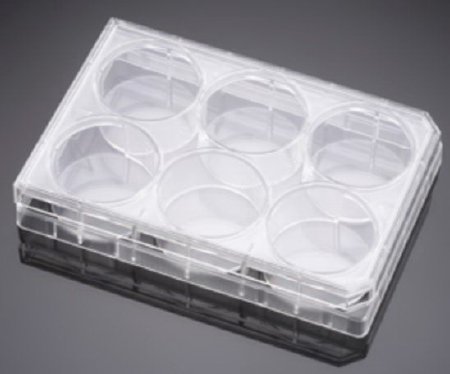 Picture of Multiwell Cell Culture Plate Falcon® Polystyrene353047