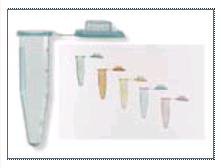 Picture of Fisherbrand™ Microcentrifuge Tube Conical Bottom Plain 10.8 X 40.6 mm 1.5 mL Without Color Coding Snap Cap Polypropylene Tube05408137