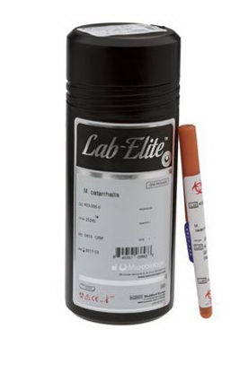 Picture of CONTROL, PROTEUS MIRABILIS ATCC 35659 LAB ELITE D/S0944-CRM