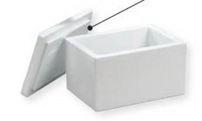 Picture of Insulated Shipper ThermoSafe® 5-3/4 X 6-1/4 X 7-3/4 Inch For Safe Storage and Delivery of Refrigerated or Frozen Materials (Pharmaceuticals, Laboratory Specimens, Serums, Vaccines, Human Organs, Culture Packs, Nuclear and Isotope Materials)439