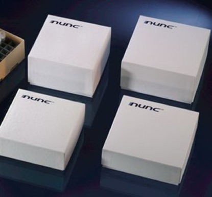 Picture of Cryo Storage Box Thermo Scientific™ Nalgene™ 3-3/4 X 5-1/4 X 5-1/4 Inch White Polycarbonate 81 Vial Capacity033377J