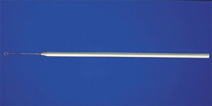 Picture of Inoculating Loop Fisherbrand™ 3 mm Diameter X 25 Gauge Nichrome Wire Tapered Handle NonSterile131045