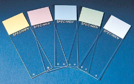 Picture of Microscope Slide SP® Colorfrost® Plus 25 X 75 X 1 mm Blue Frosted EndM6148-3B