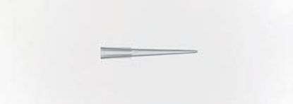 Picture of Pipette Tip Fisherbrand™ 1 to 200 µL Without Graduations NonSterile02707121