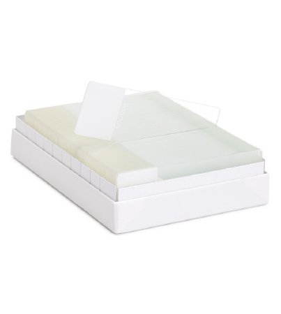 Picture of Adhesion Microscope Slide Millennia™ 1000 25 X 75 X 1 mm YellowM1000Y