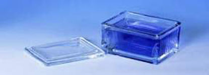 Picture of Handle 20-Slide Glass Staining Dish088121C