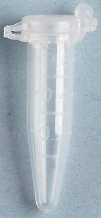 Picture of Fisherbrand™ Microcentrifuge Tube Conical Bottom Plain 10 X 30 mm 600 µL Without Color Coding Snap Cap Polypropylene Tube02681273