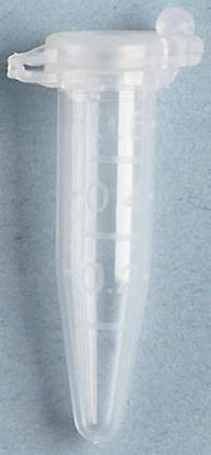 Picture of Fisherbrand™ Microcentrifuge Tube Conical Bottom Plain 10 X 30 mm 600 µL Without Color Coding Snap Cap Polypropylene Tube02681273