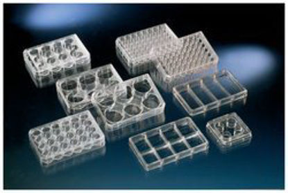 Picture of Multiwell Cell Culture Dish Thermo Scientific™ Nunc™12565496
