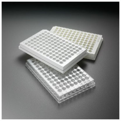 Picture of 96-Well Microplate MilliporeSigma™ Filtering Microplate NonSterileMSHVN4550