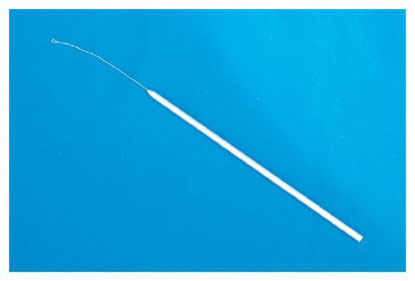 Picture of Inoculating Loop Fisherbrand™ 2 mm X 26 Gauge Twisted Nichrome Wire With Handle14956102
