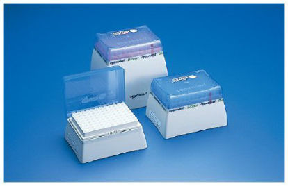 Picture of Pipette Tip Eppendorf® epT.I.P.S.® 0.1 to 10 µL Fine Graduations Sterile022492250