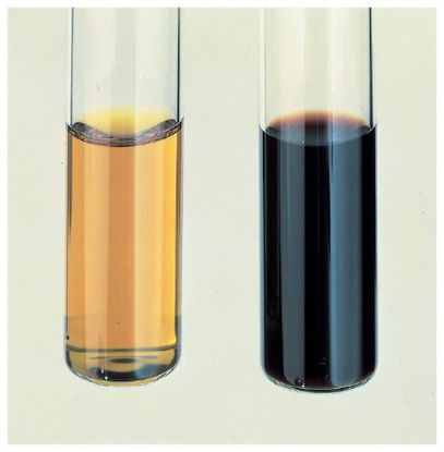 Picture of Media Additive BD Difco™ Novobiocin Antimicrobic SupplementDF3197-60