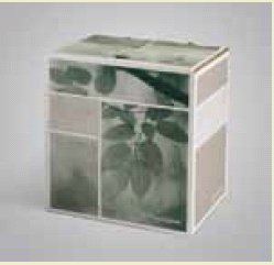 Picture of Drainage Catheter Kit PleurX®50-0071