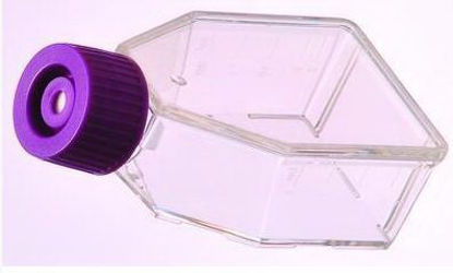 Picture of Flask Cell Culture Polystyrene 600 mL10062-864