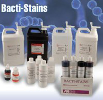 Picture of Histology Reagent Acetone Alcohol Alcohol Solvent 25% v/v 16 oz.304A-16OZ