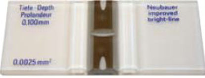 Picture of Hemacytometer Double Rulings, H-Shaped Moat For Counting Blood CellsCTL-HEMM-GLDR