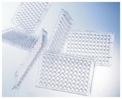 Picture of 96-Well Microplate NonSterile07-000-609