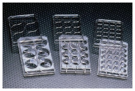 Picture of Multiwell Cell Culture Dish Thermo Scientific™ Nunc™353043