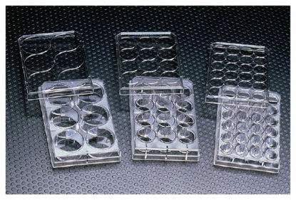 Picture of Multiwell Cell Culture Dish Thermo Scientific™ Nunc™353043