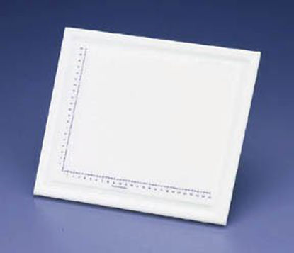 Picture of Dissecting Board and Pin Thermo Scientific™ 0.63 X 11 X 13 Inch, Large, White, 0.625 Inch Thickness0900212