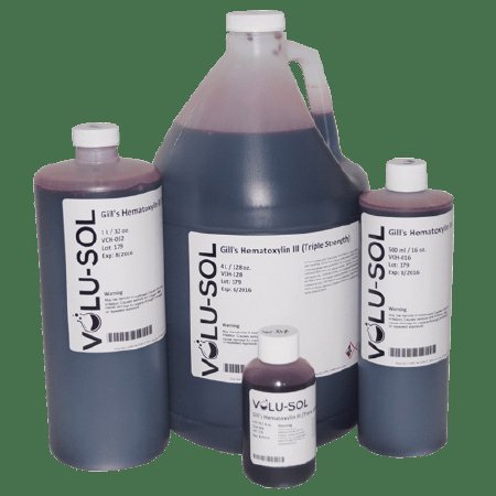Picture of Hematoxylin Stain (Gill 3) 32 oz.VCH-032C