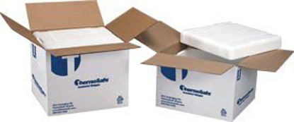 Picture of Insulated Shipper ThermoSafe® 8 X 5-7/8 X 8-7/8 Inch Inner, 11 X 9 X 11-7/8 Inch Outer0352513