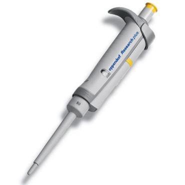 Picture of Eppendorf Research® Plus Fixed Volume Pipette 50 µL Without Graduations NonSterile13690040
