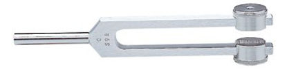 Picture of Tuning Fork with Weight Aluminum Alloy 128 cps1314