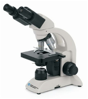 Picture of Fisherbrand™ Fisher Science Education™ Compound Microscope Siedentopf Type Binocular Head DIN Achromat 40X, 100X, 400X, 1000X Mechanical StageS71002G
