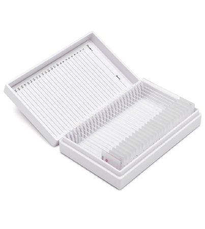 Picture of Histopathology Control Slide Human TissueCS-PAS/25