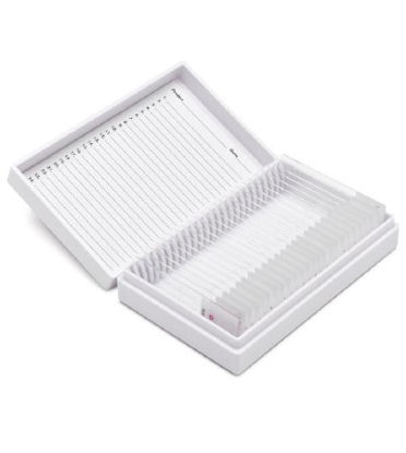 Picture of Histopathology Control Slide Human TissueCS-PAS/25