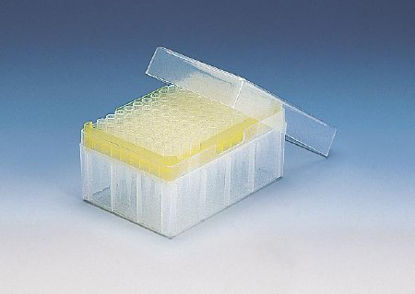 Picture of Pipette Tip Brand® 0.5 to 5 mL Without Graduations NonSterile04977160