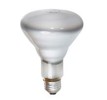 Picture of Bulb Sylvania 120 Volt 65 Watts0002855