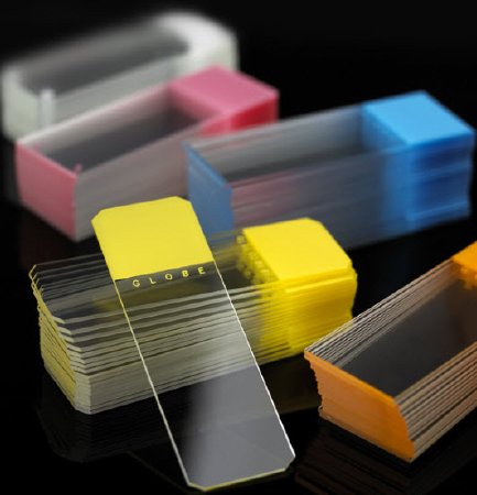 Picture of Microscope Slide Diamond® White Glass 25 X 75 X 1 mm Orange Frosted End1384-50N