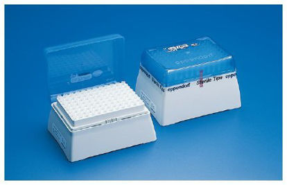 Picture of Filter Pipette Tip Eppendorf® epT.I.P.S.® 20 to 300 µL NonSterile0540319