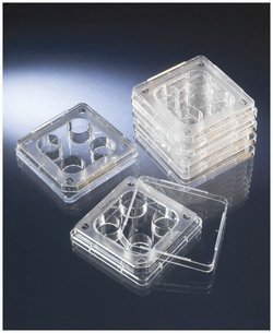 Picture of 4-Well IVF Dish Thermo Scientific™ Nunc™ Polystyrene12566350