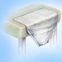 Picture of Fluid Collection Pouch Disten-U-Flo® 12 Inch NonSterileGY5-PCH