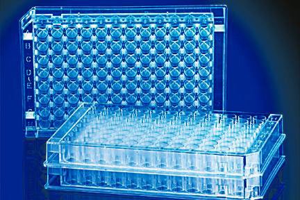 Picture of 96-Well Microplate Fisherbrand™ Square Well 450 µL NonSterile21377203
