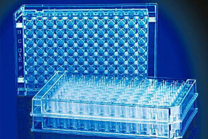Picture of 96-Well Microplate Fisherbrand™ Square Well 450 µL NonSterile21377203