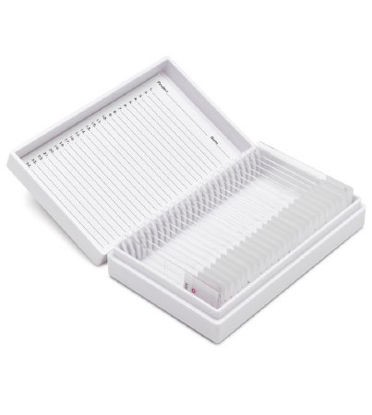 Picture of SLIDE, F/CONTROL TISS GRAM STAIN MOUSE (25/BX)CS-GRAM/25