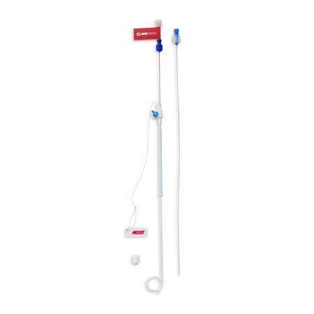 Picture of CATHETER, LOCKING DRAINAGE BLU8.5FR 25CM 0.038"RLC-8-038