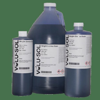 Picture of Modified Wright-Giemsa Stain Kit 16 oz.VWMG-016C