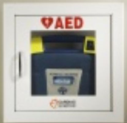 Picture of Wall Mount Cabinet Metal, Surface Mounted AED50-00392-10