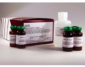 Picture of Reagent General Chemistry Glucose R1: 10 X 6 mL, R2: 1 X 120 mLG7583180