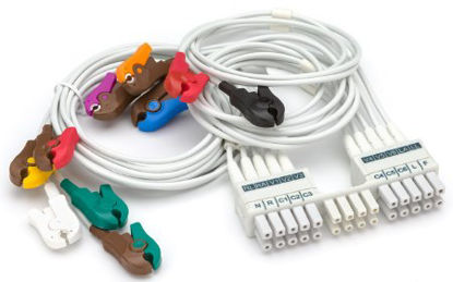 Picture of Leadwire Set Short, 10 Wire, With AHA Clip9293-047-70